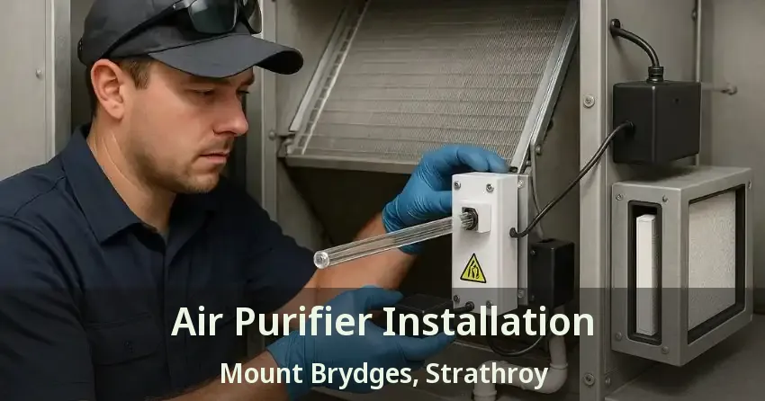 Air Purifier Installation Mount Brydges, Strathroy - ON