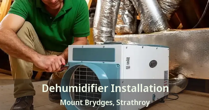 Dehumidifier Installation Mount Brydges, Strathroy - ON