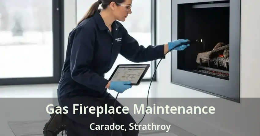 Gas Fireplace Maintenance Caradoc, Strathroy - ON