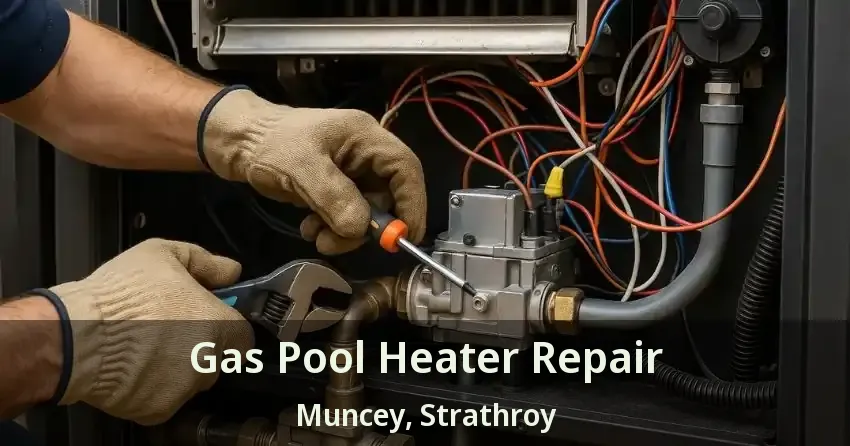 Gas Pool Heater Repair Muncey, Strathroy - ON