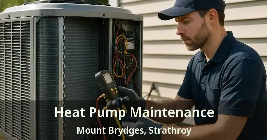 Heat Pump Maintenance Mount Brydges, Strathroy - ON