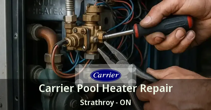 Carrier Pool Heater Repair Strathroy - ON